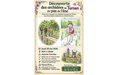 Découverte des Orchidées du Tursan au pas de l'âne
